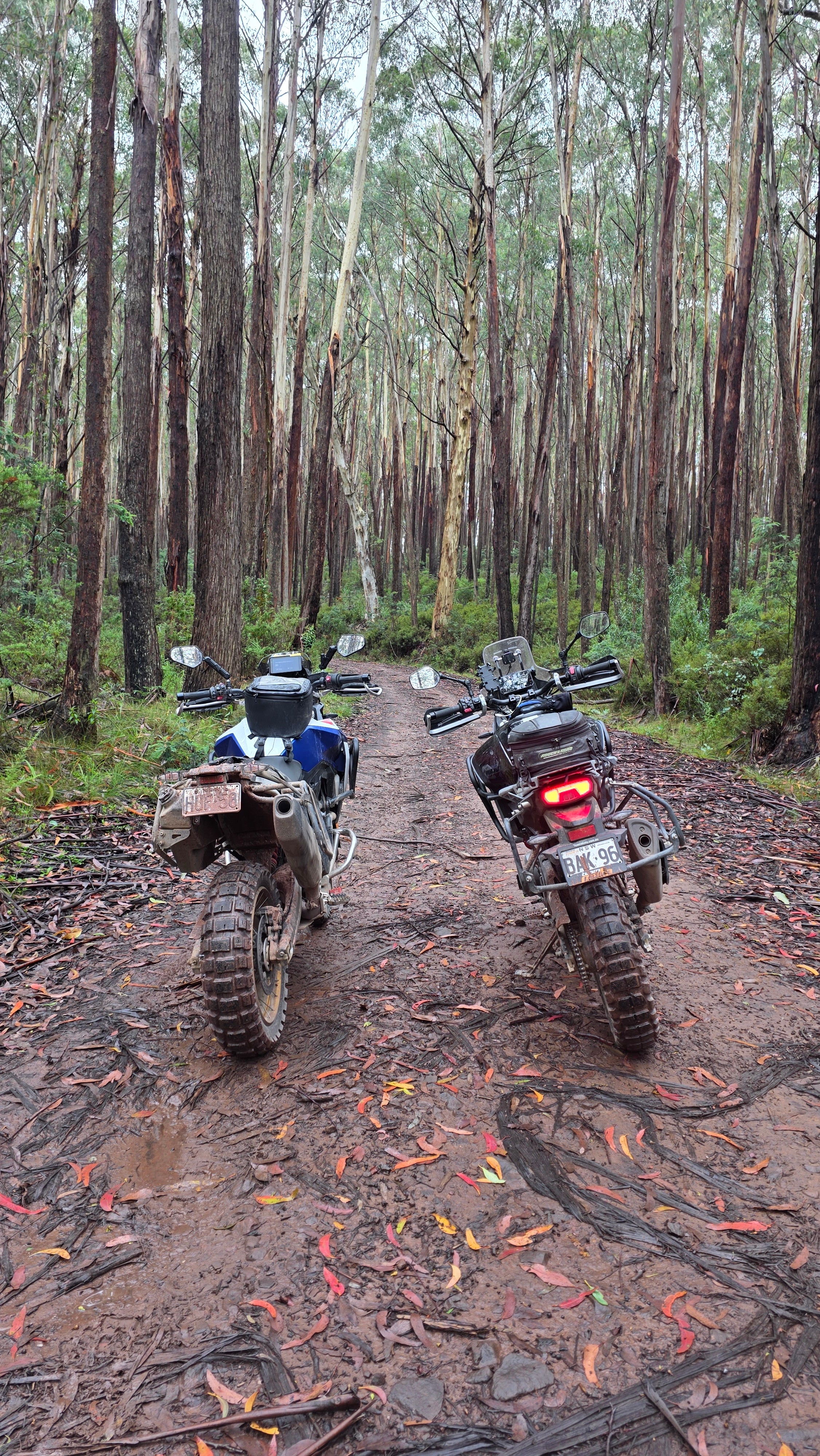 Sydney to Vic High Country - Self guided ride
